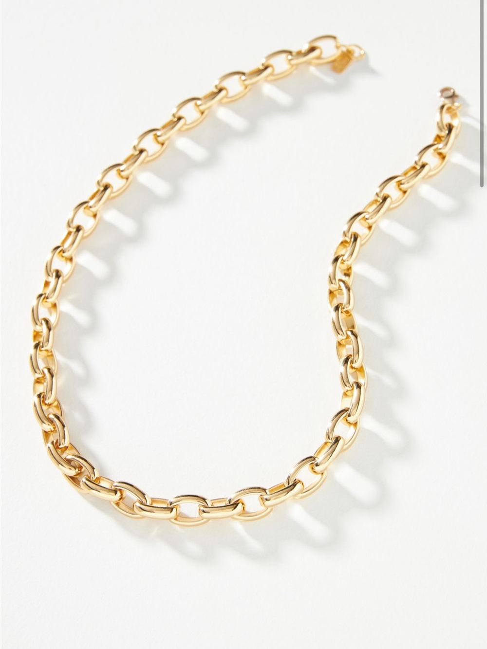 NWT Electric Picks Dylan Necklace